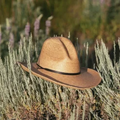 Bryce Straw Hat-Stetson Online