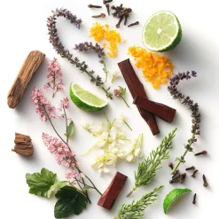 Oasis Hair x Body Wash-Stetson Sale