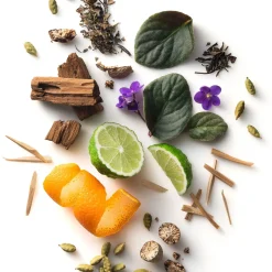 Off Road Hair x Body Wash-Stetson Hot